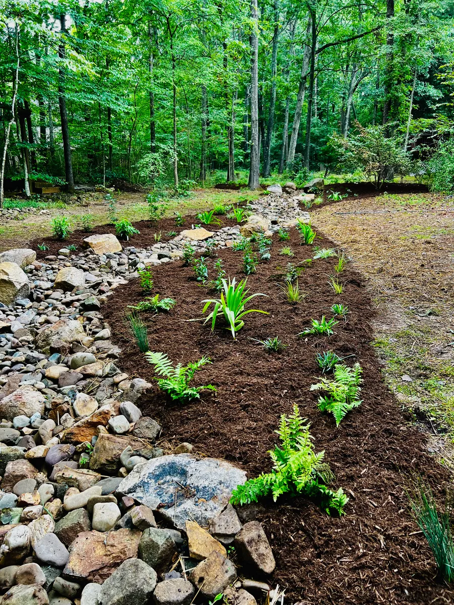 Erosion control with mulch and a stone creek bed