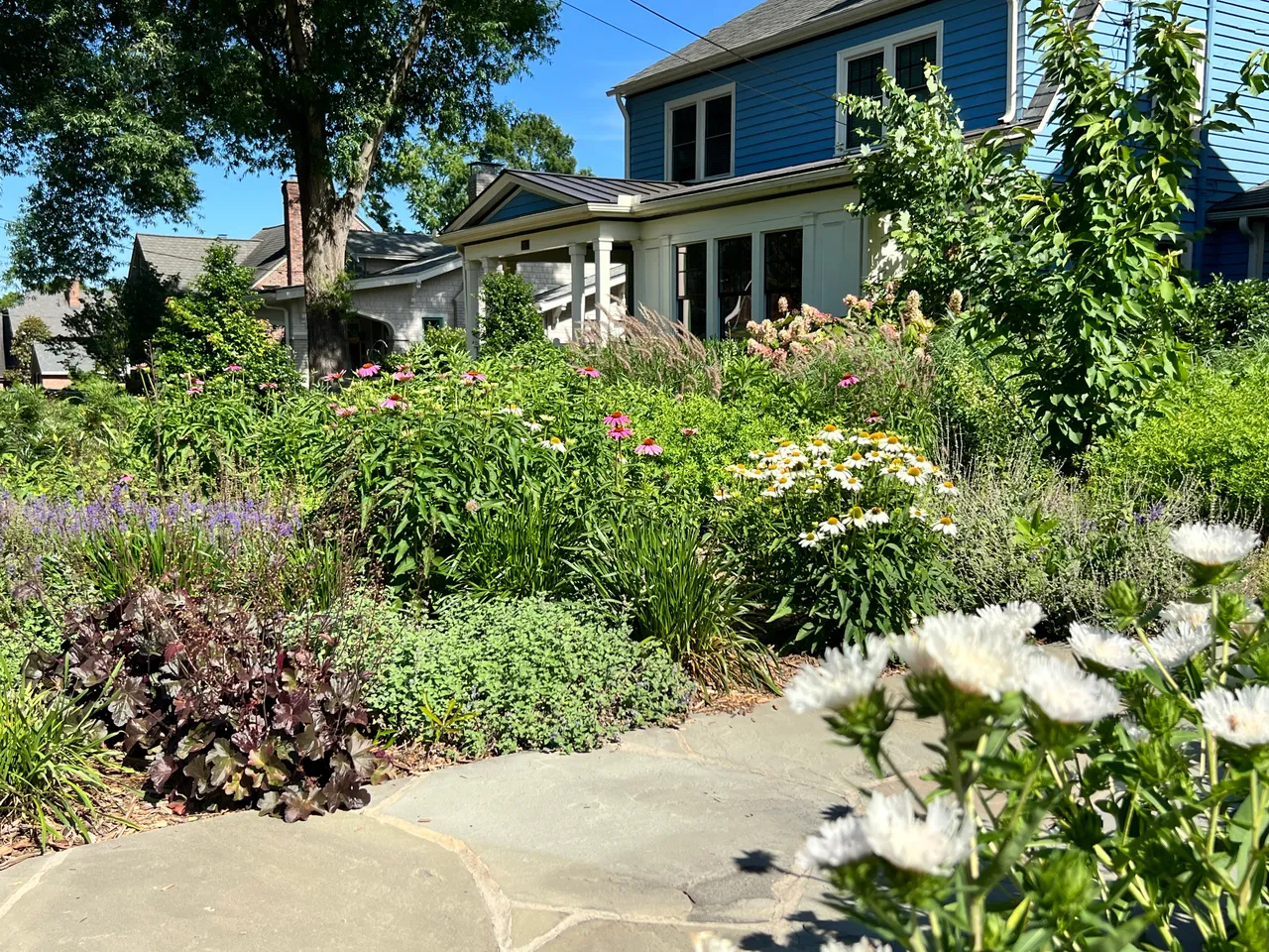 Flagstone path threading the side garden