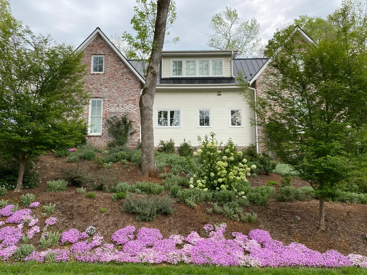 Phlox, hydrangea and lavender framing the front of the house