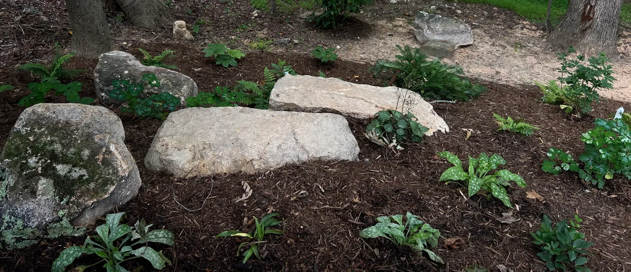 Finished boulder garden with shade plants, wide view
