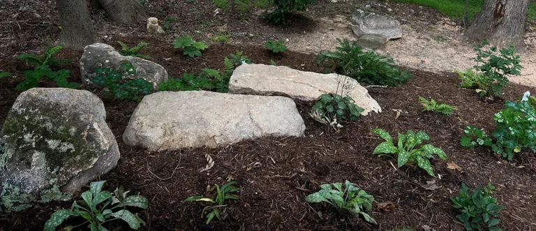 Finished boulder garden with shade plants, wide view