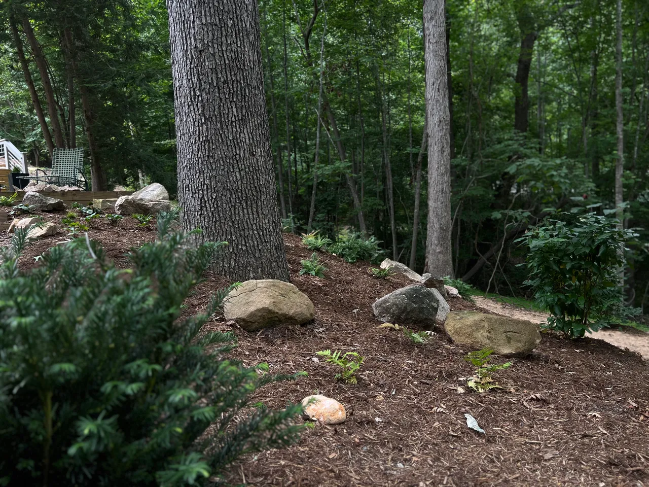 Boulders and ferns set into the wooded slope during install