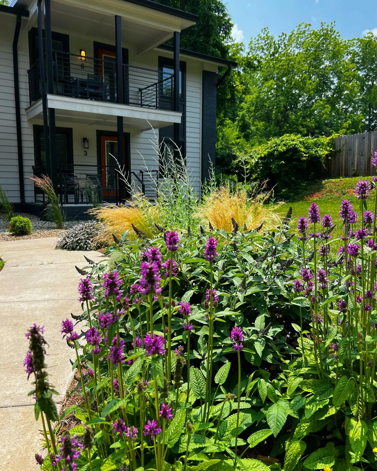 The front border along the walk, looking toward the porch